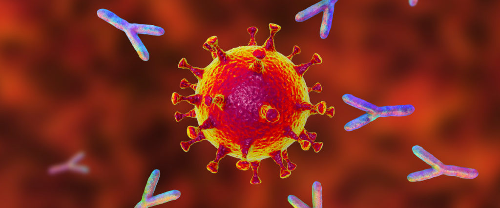 immun tizimi bakteriya va viruslarga qarshi turishi